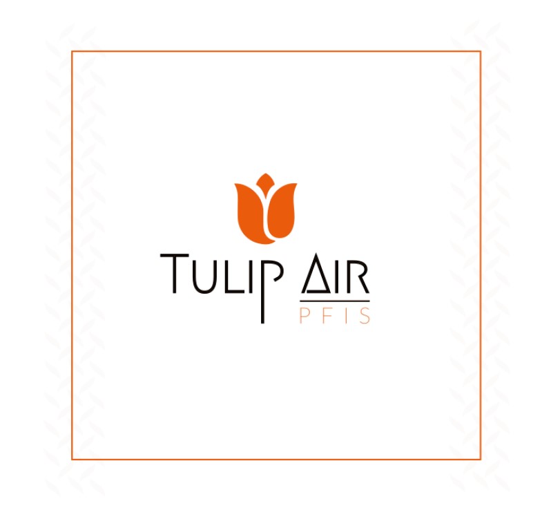 Tulip Air captive portal